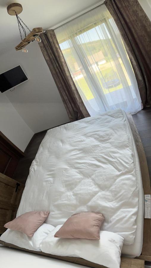Pensiunea Lili'S House Buchin Екстер'єр фото